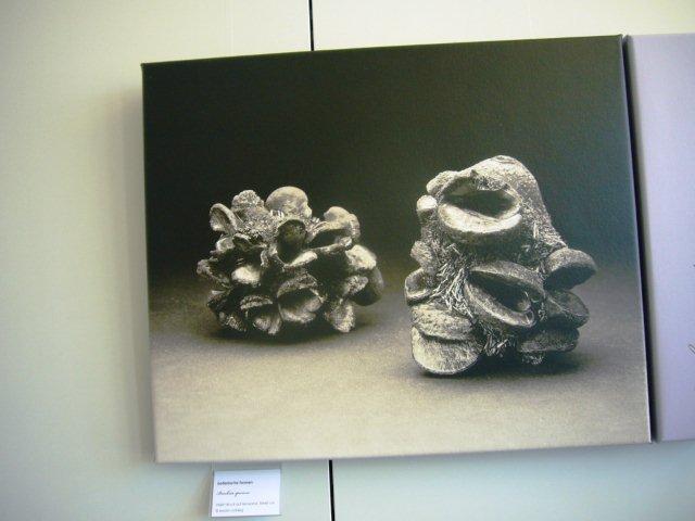 Fotoausstellung Schätzle Fotoausstellung Schätzle