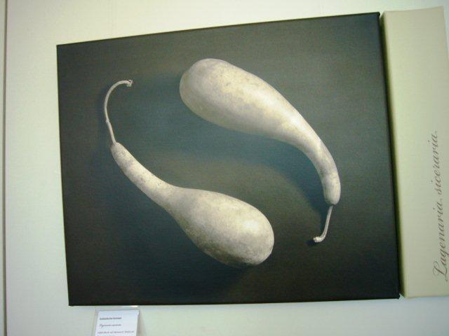 Fotoausstellung Schätzle Fotoausstellung Schätzle