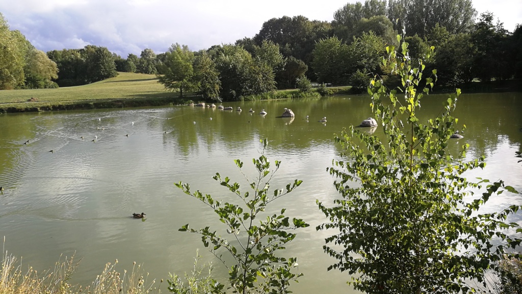 Teich im Fischerdorf Teich im Fischerdorf