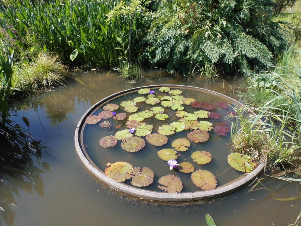 Arboretum 2015 Arboretum 2015