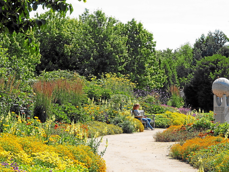 Arboretum 2015 Arboretum 2015