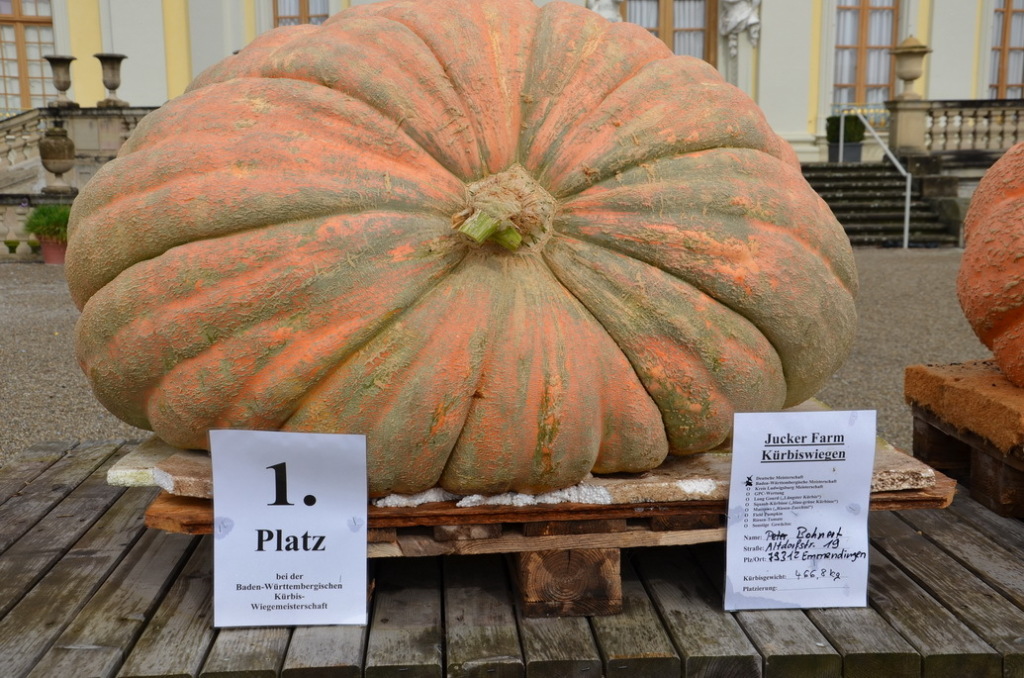 DSC_0018 DSC_0018