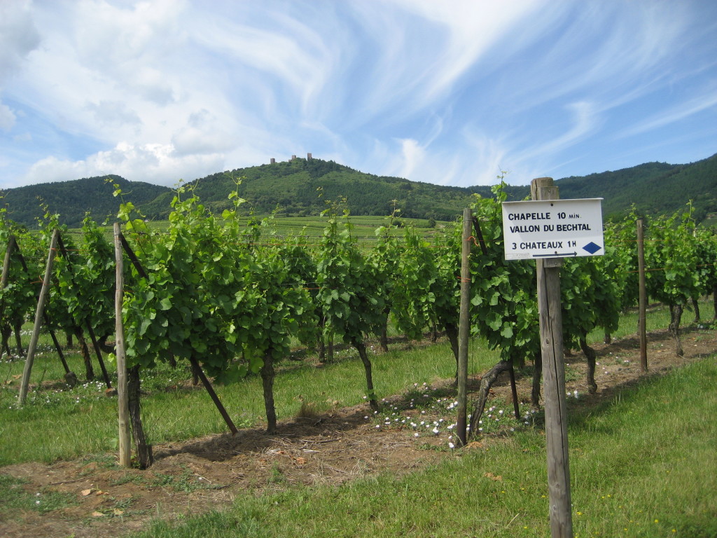 Elsass Elsass