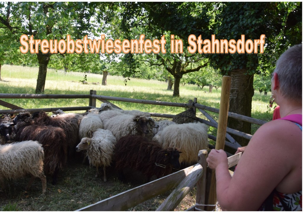 Streuobstwiesenfest in Stahnsdorf Streuobstwiesenfest in Stahnsdorf