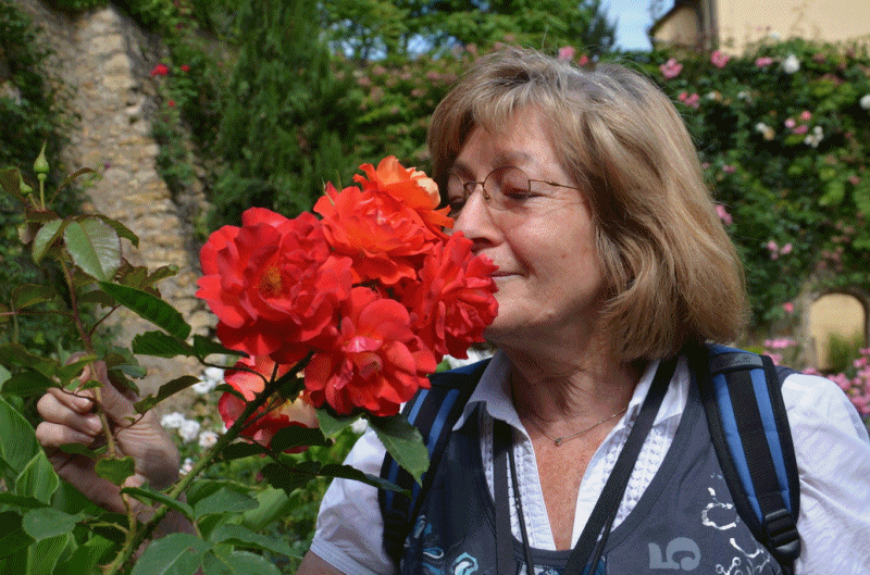 Rosen-1 Rosen-1