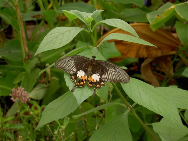 Botanischer Garten Botanischer Garten