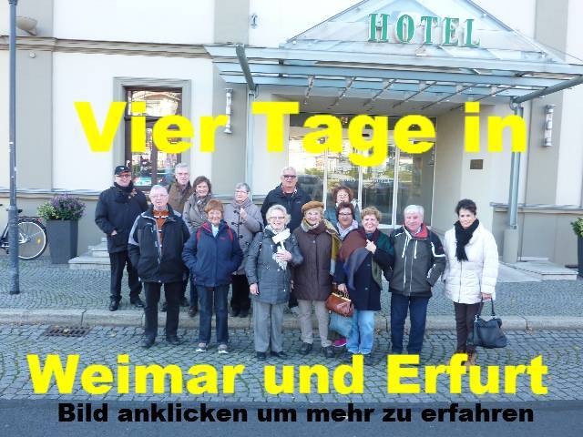 bild bild