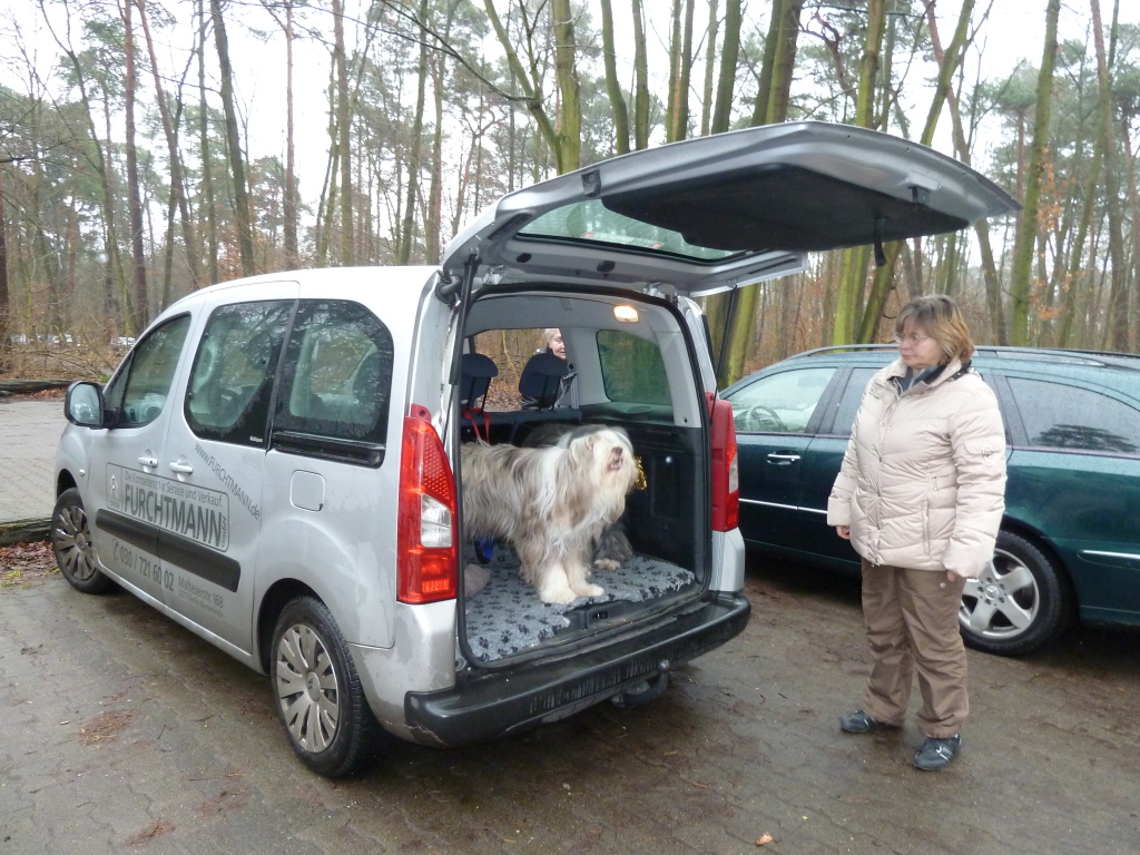Neujahrsspaziergang Neujahrsspaziergang