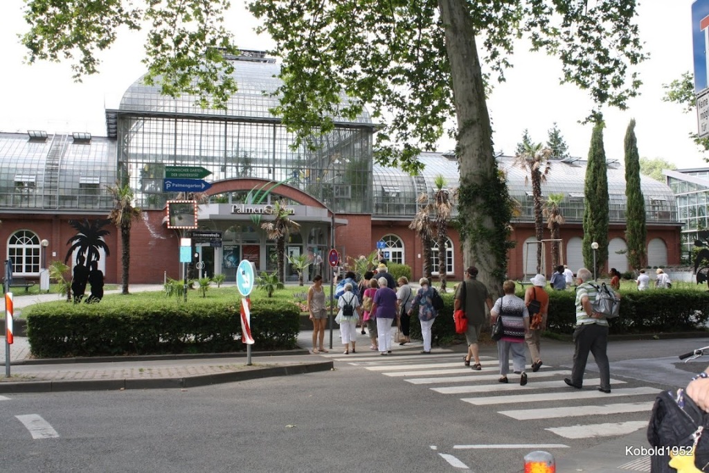auf dem Weg zum Palmengarten auf dem Weg zum Palmengarten