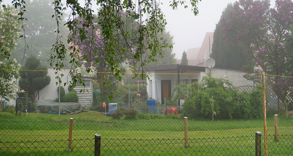 Blick über den Gartenzaun