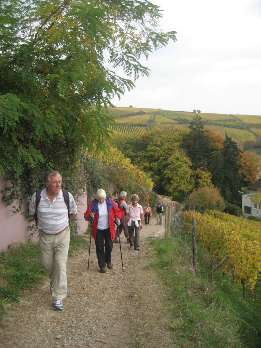 Elsass 11 Elsass 11