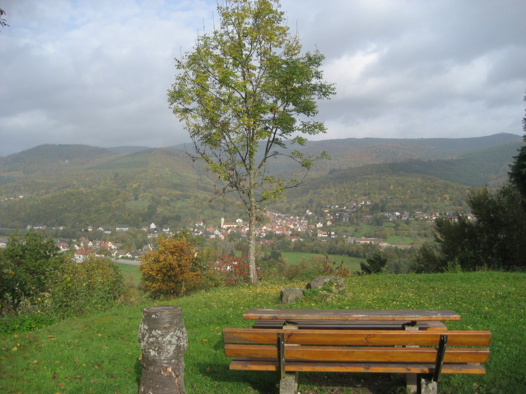 Elsass 26 Elsass 26