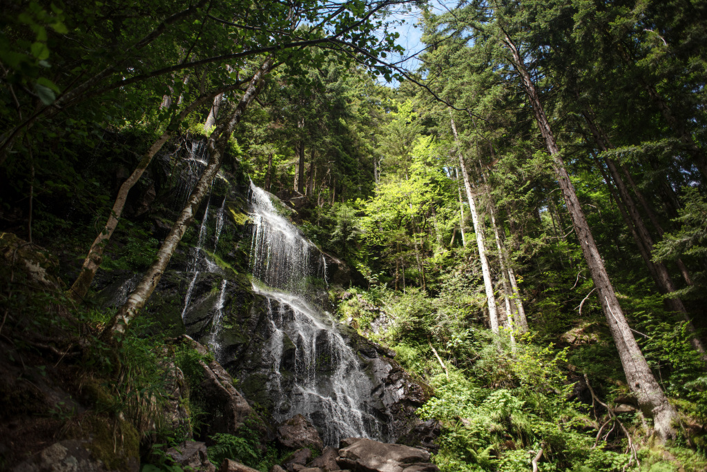 Wasserfälle im Wald Wasserfälle im Wald