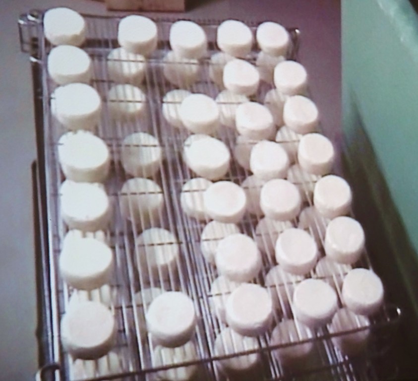 Käse Käse