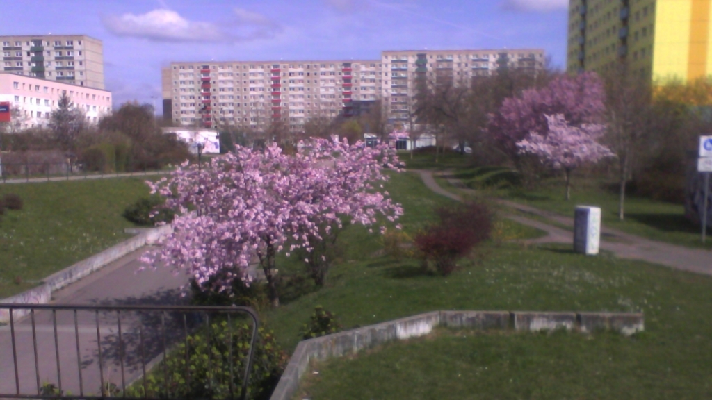 Frühling Frühling