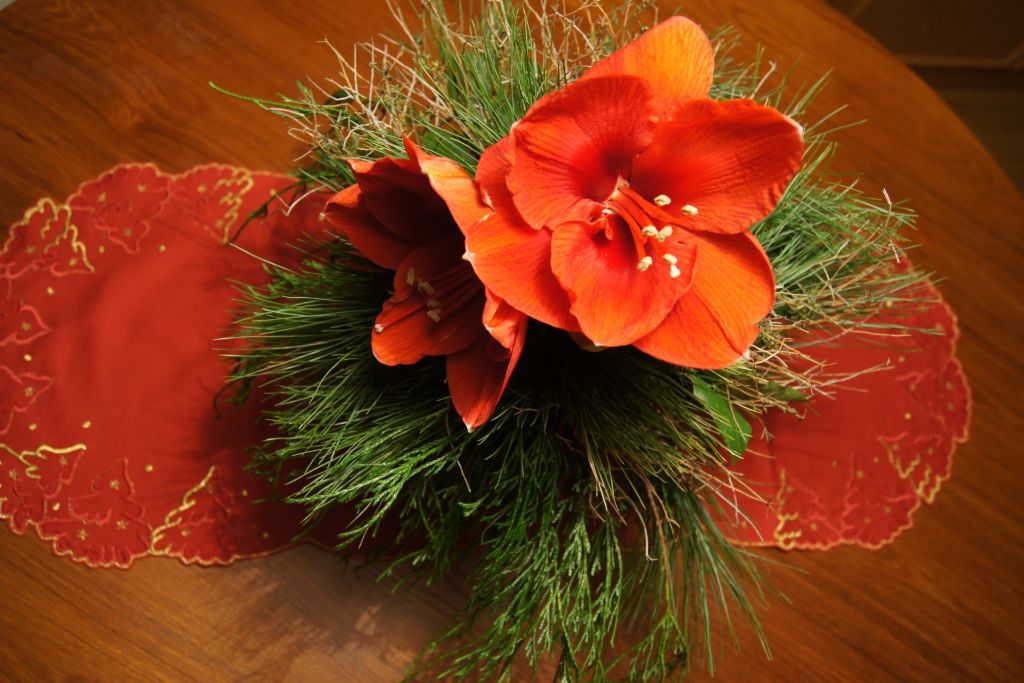 advent advent