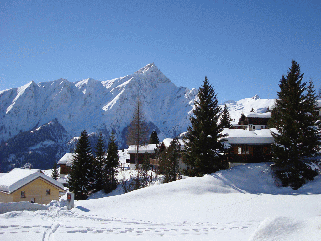 winter winter