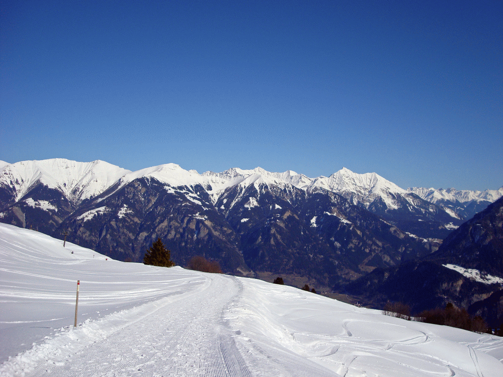 winter winter