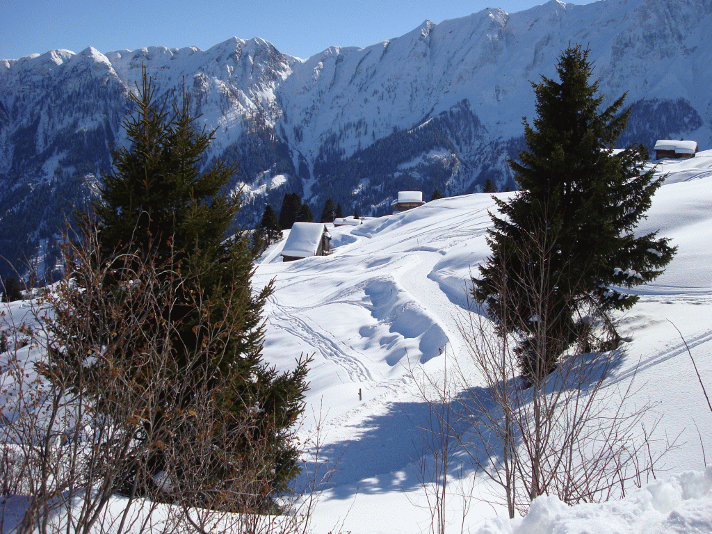 winter winter