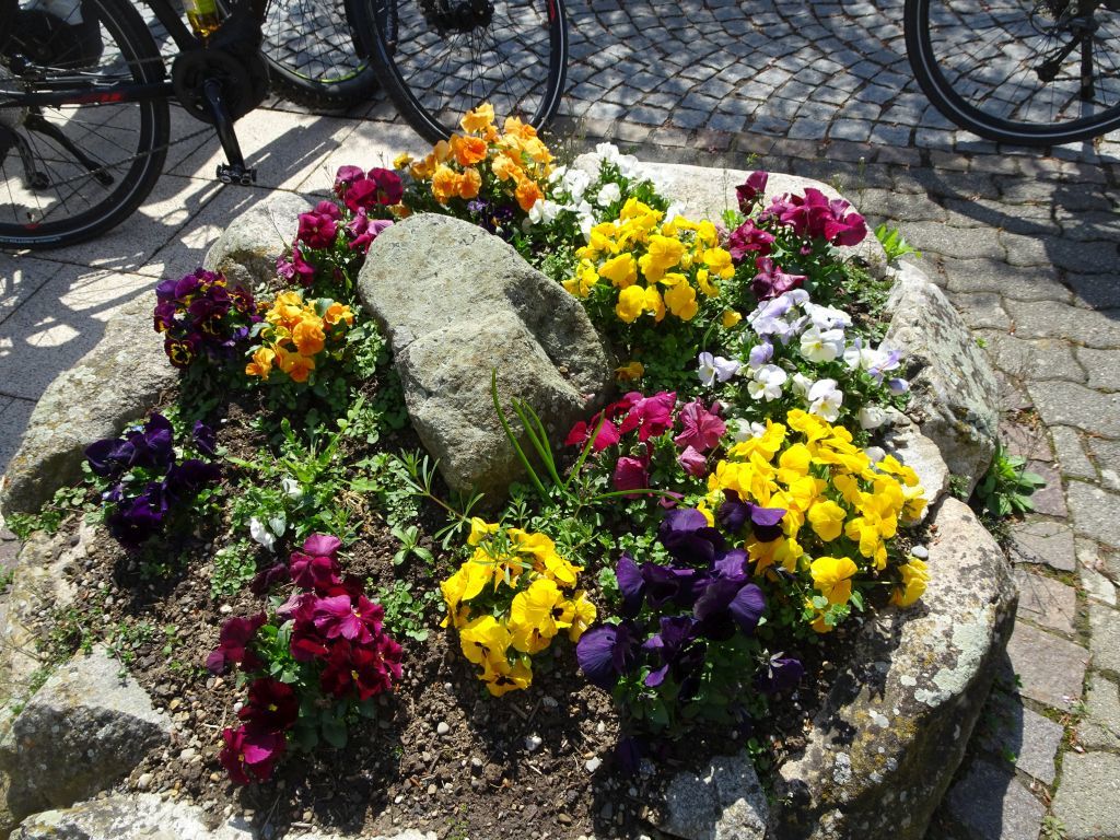 blüten blüten