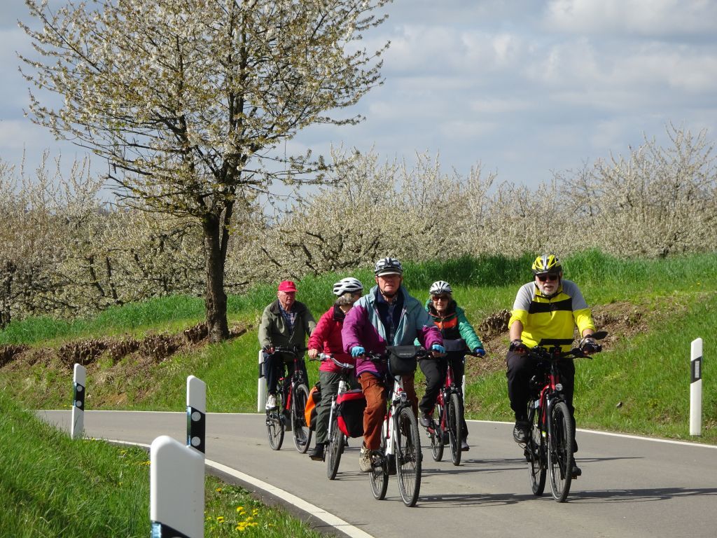 blüten blüten