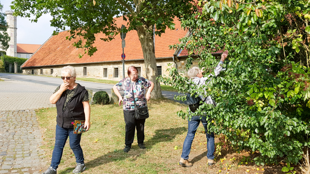 Laves-Kulturpfad Laves-Kulturpfad