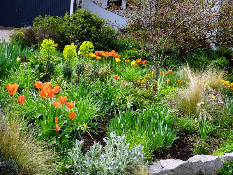 blüten blüten