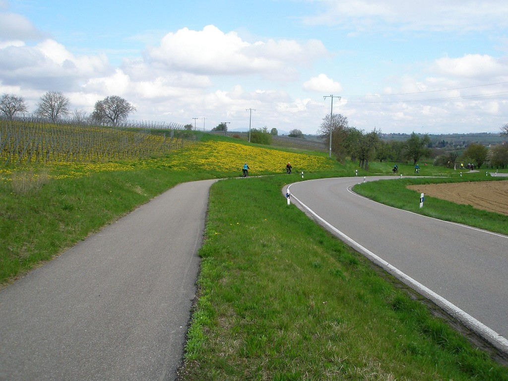 blüten blüten