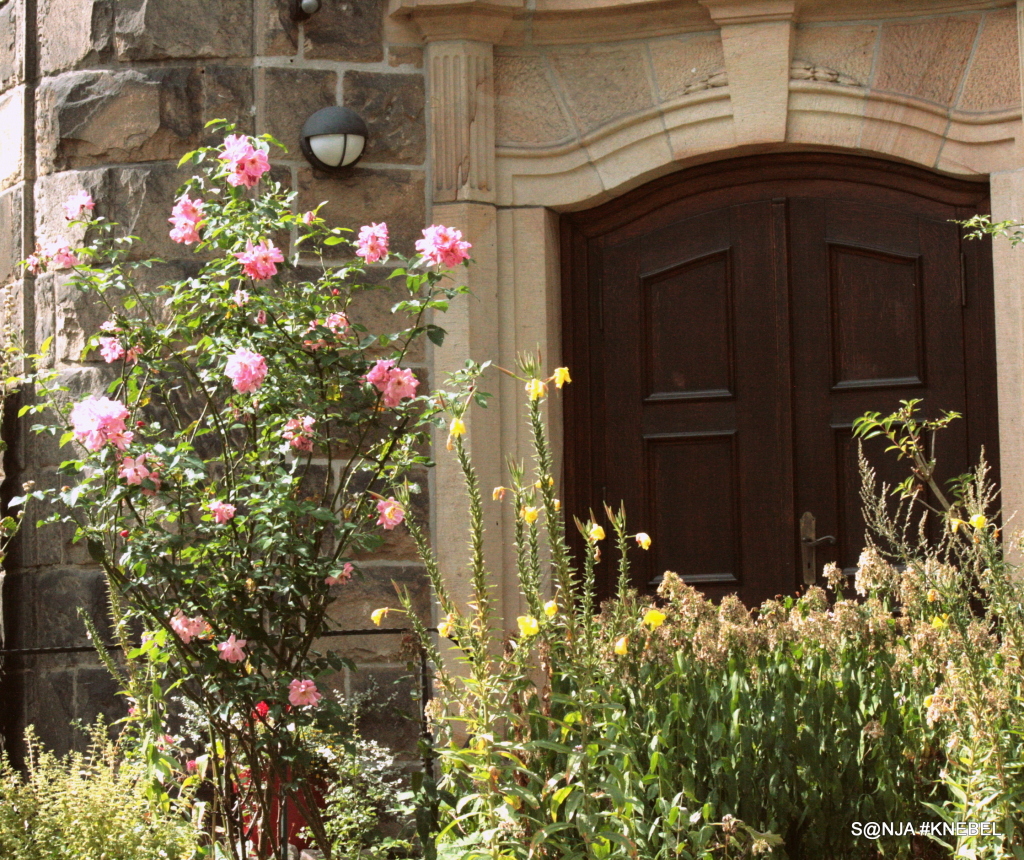 Im Garten der Evangelischen Kirche