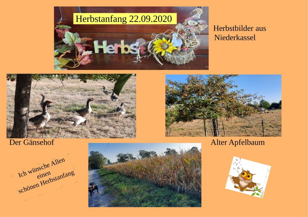 Herbstanfang 22.09.2020 Herbstanfang 22.09.2020