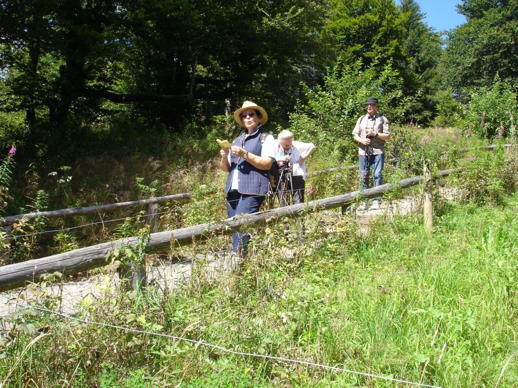 Schauinsland 34 Schauinsland 34