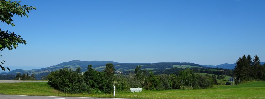 wald wald