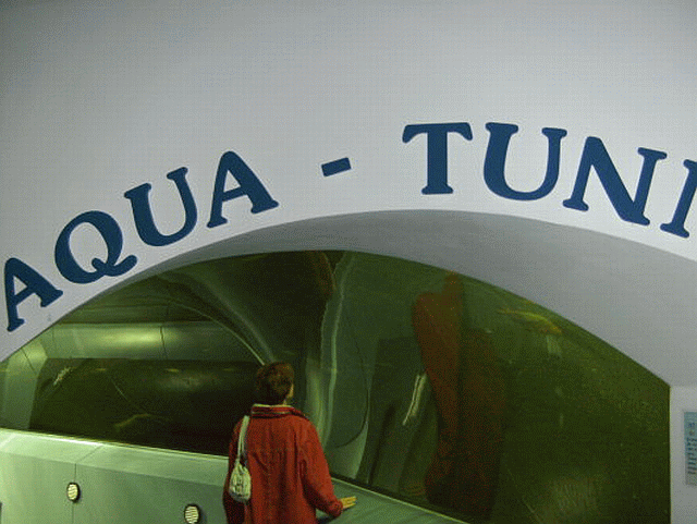 Aquatunnel Aquatunnel