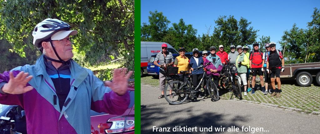 wald wald