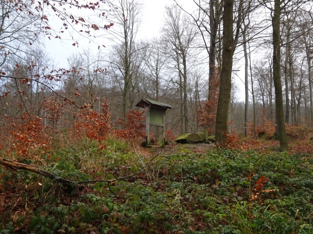 Bild 006 Bild 006