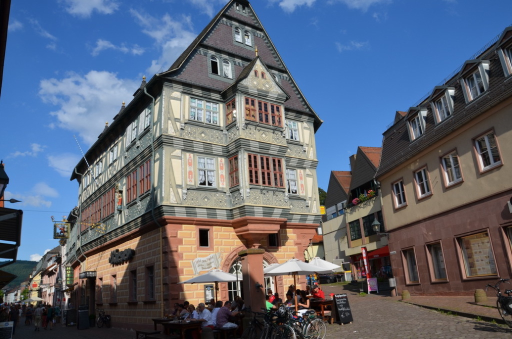 DSC_0245 DSC_0245