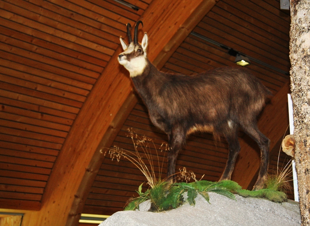 Haus der Natur Haus der Natur