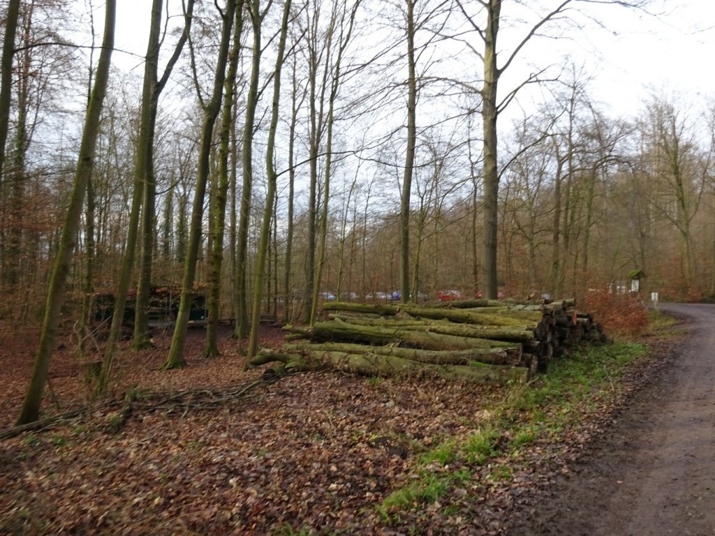 Bild 099 Bild 099