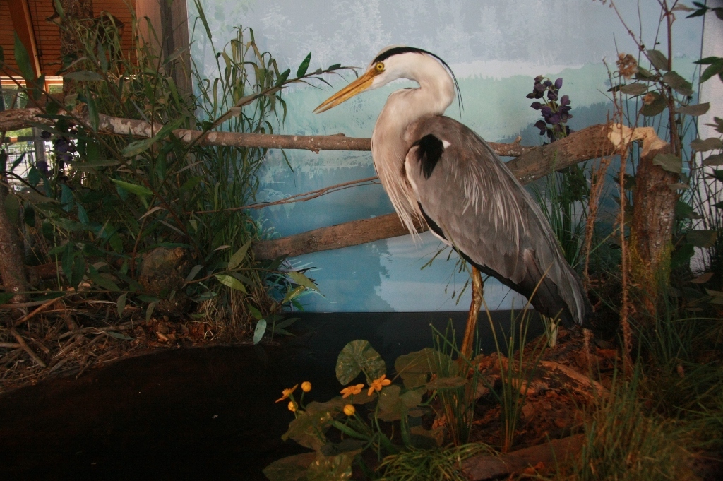Haus der Natur Haus der Natur
