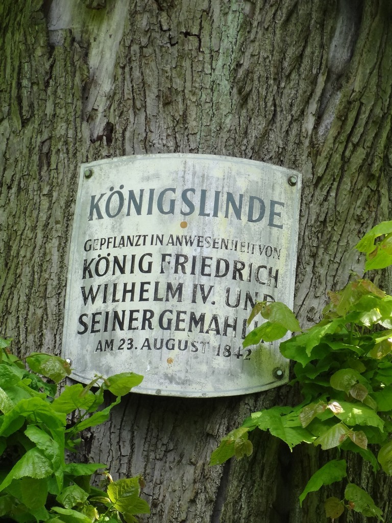 Bild 179 Bild 179