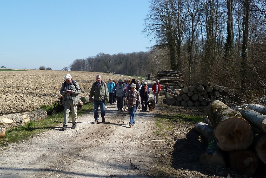 sundgau sundgau