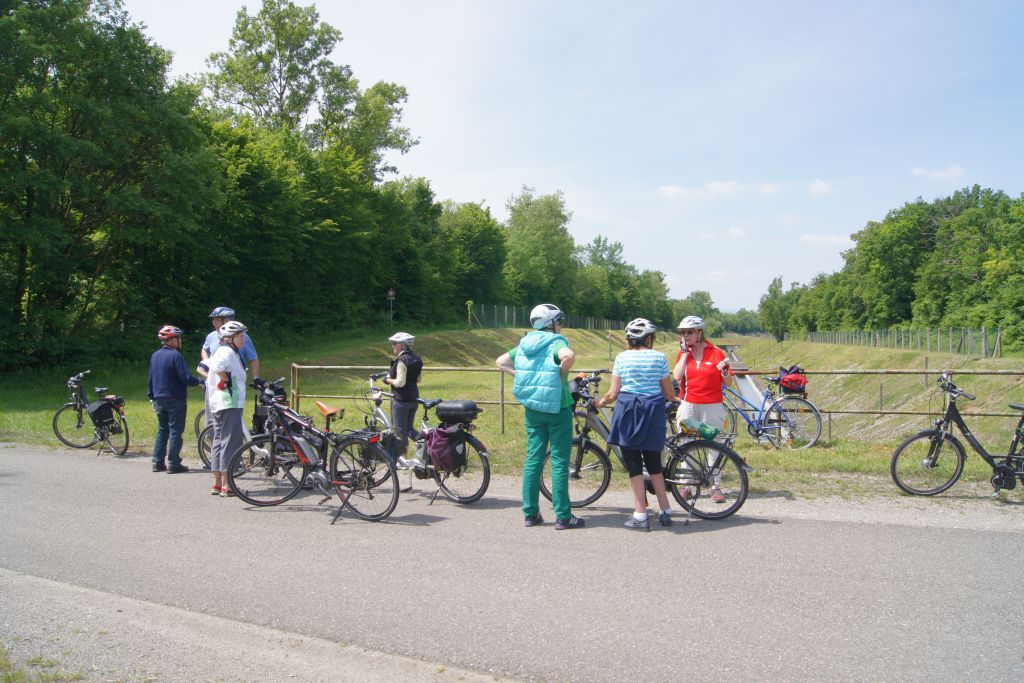 velo velo