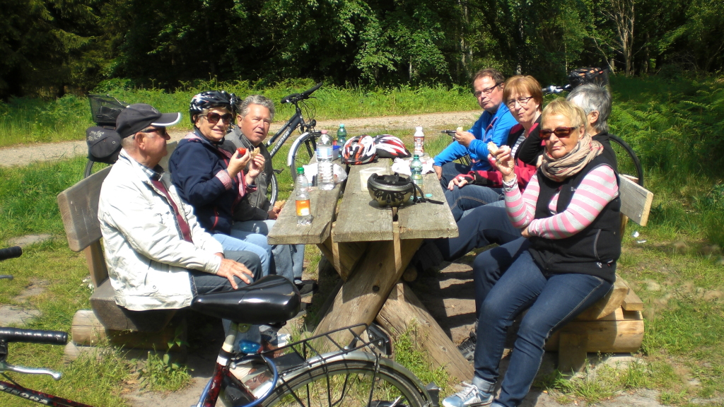 Picknick im Wald Picknick im Wald