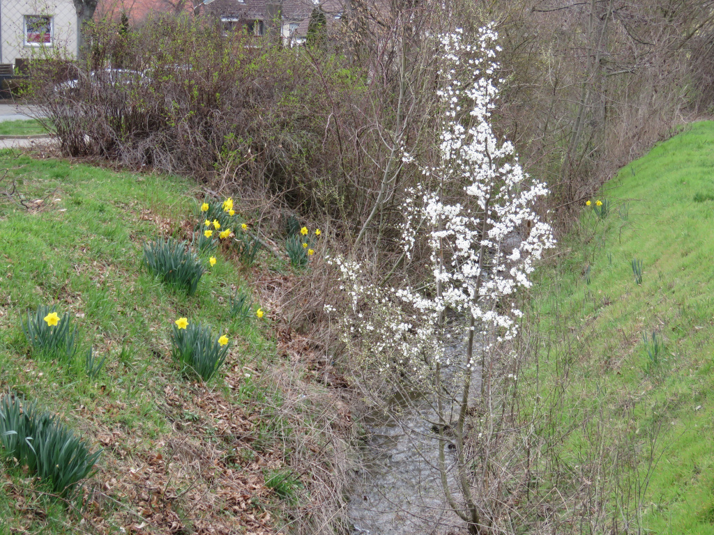 Vienenburg Vienenburg