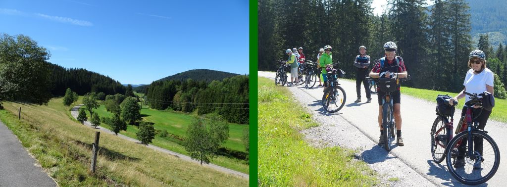 wald wald