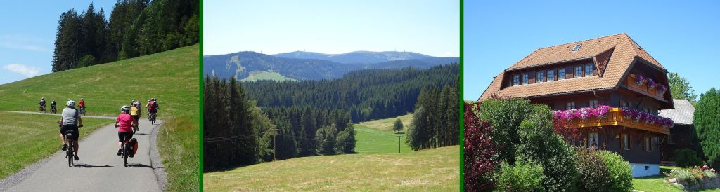 wald wald
