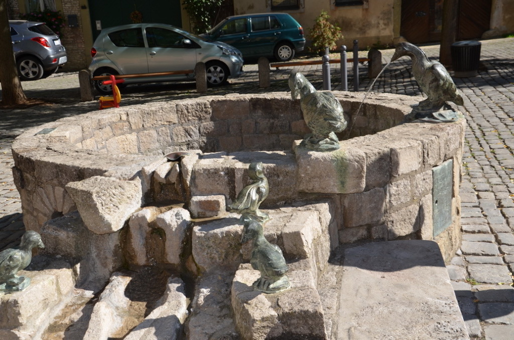 DSC_0072 DSC_0072