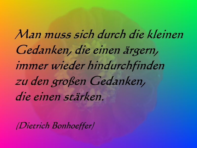 Zitat Zitat