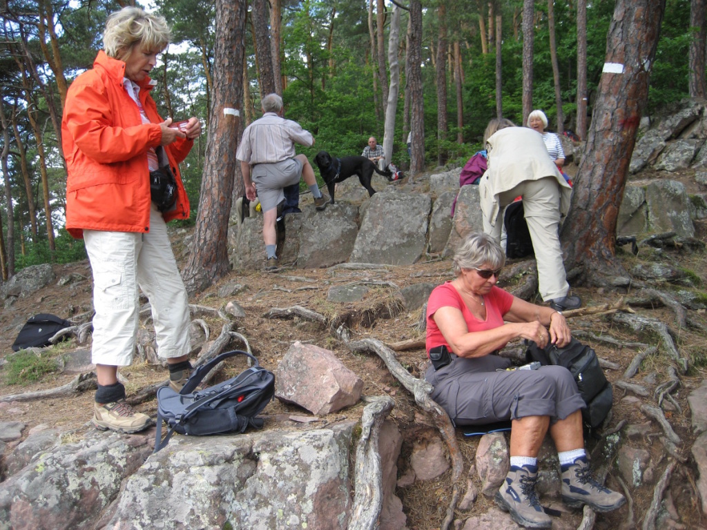 Vogesen 20 Vogesen 20