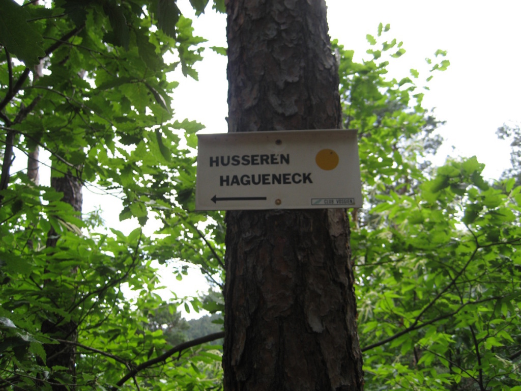 Vogesen 32 Vogesen 32